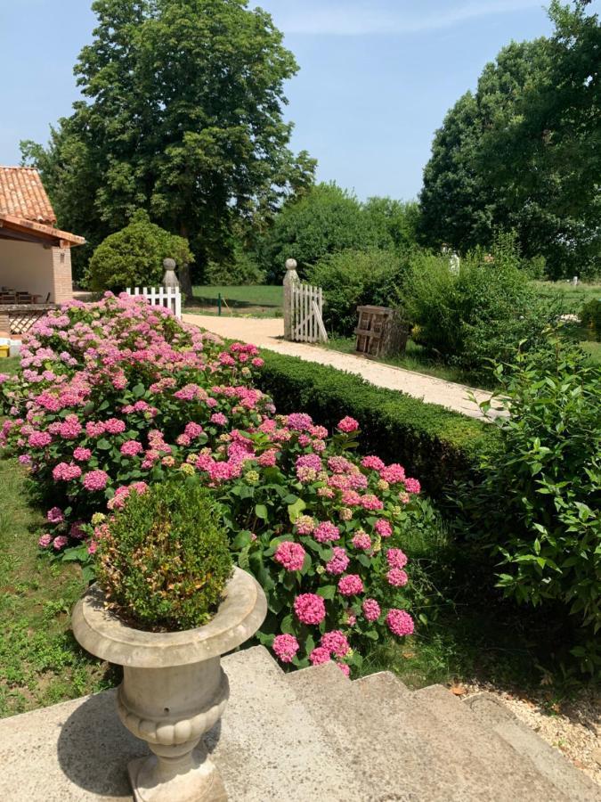 Chambre D'Hotes Et Table D'Hotes Domaine De La Terrasse Sas Et Gite Anda Montauban Lacourt-Saint-Pierre Екстериор снимка